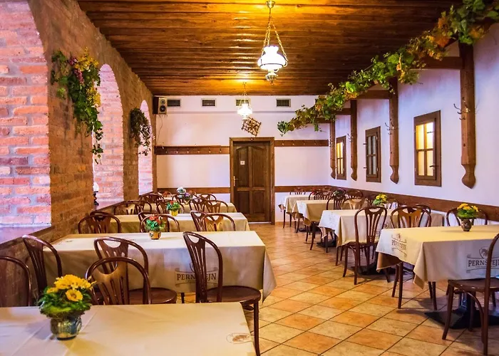 A Pizzeria U Sujana 招待所